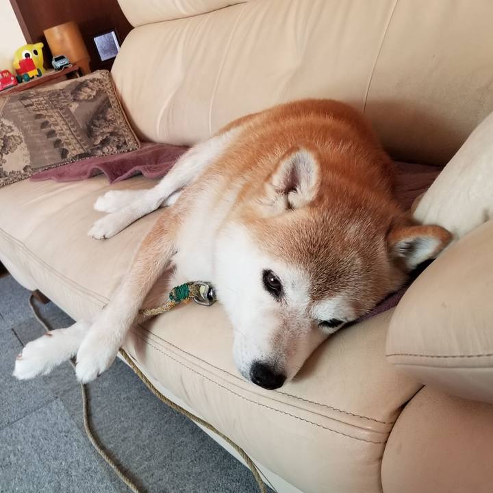 1c6de472 dd60 4e84 993c 02f9eddeba24 1660092434407