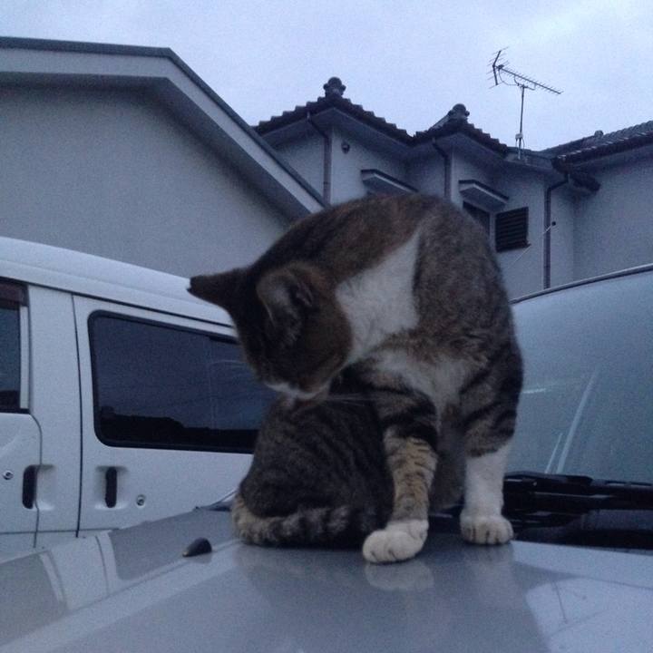 1c6de811 983b 4596 a440 2579c2da1110 1508232516609