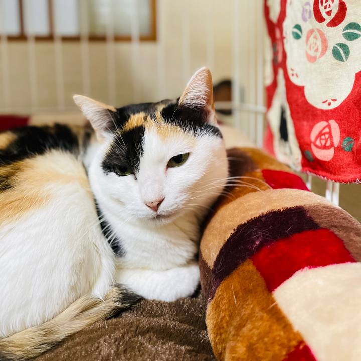 1c6df97d 35b8 4743 8a76 c89f67337a2a 1610505239403