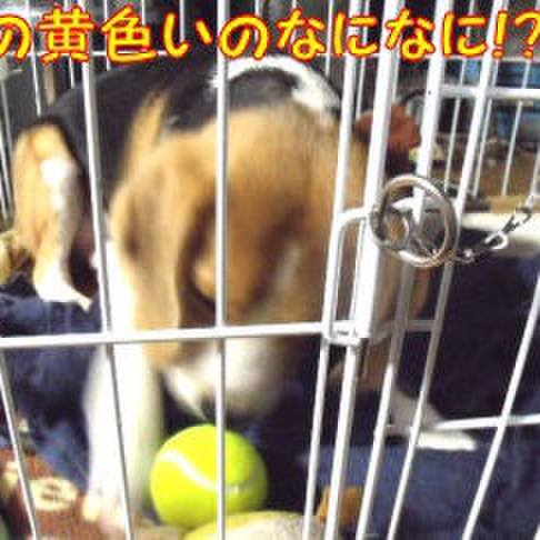 1c6dfc75 7e15 4837 9f9b 9a8e784c4f0c 1687299247465