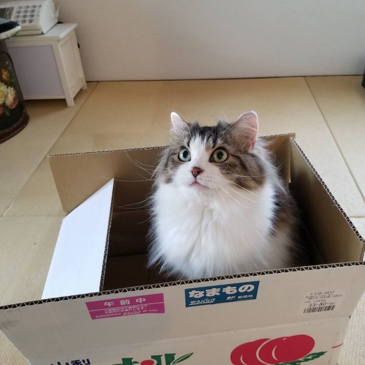 1c6e3224 e3bd 40b7 90b8 74b5df9a7cf1 1531874380593