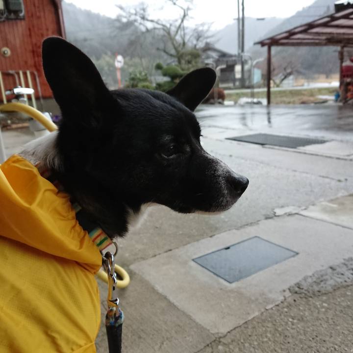 1c6e466b 5df7 424e 9439 c6f1f506d23f 1520211355138