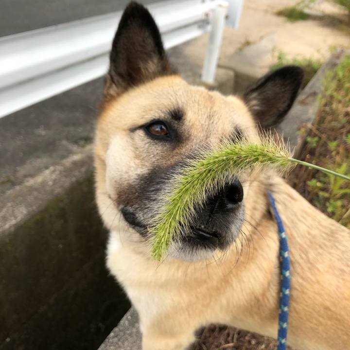 1c6ea62f c241 4483 8dfa f5503f56fdd3 1569586713005