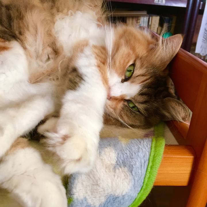 1c6ec53f d521 4321 89dd 31813da935f2 1553580442678