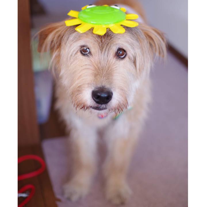 1c6ee604 51df 43a6 a0b9 009e18efda77 1567955629868