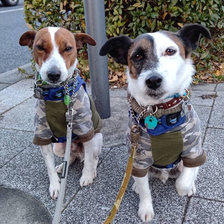 1c6eeeae 29fa 494f 8791 bc3d5ed61a03 1642545520854