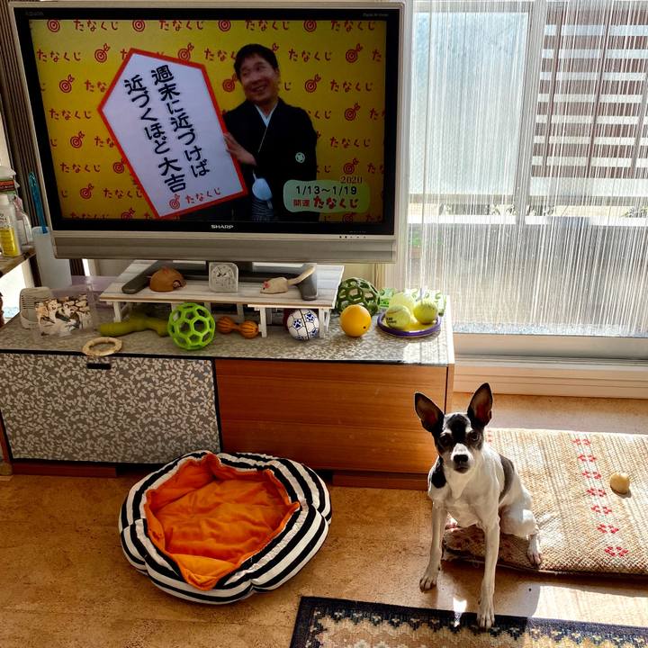 1c6f22fc 07c6 499c a8c9 8e2bb87962b8 1578882240513