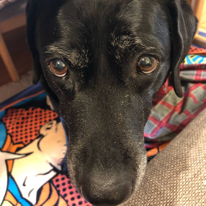 1c6f3451 aae5 40a9 b2f6 f80393df17d6 1578787826777