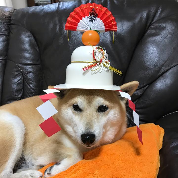 1c6f5501 e452 40b1 81b3 50982c55270d 1547176711062