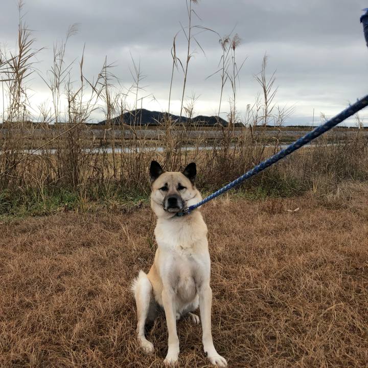 1c6fc02d ea2c 426a b65c 7ab800d3aa0f 1611475808088