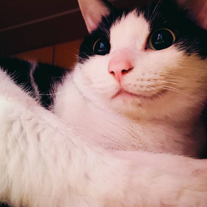 1c6fdb10 5d46 41f2 a93e 2ea63c1b55c3 1587518248403