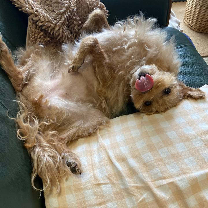 1c6fe3b6 5633 4f74 96c1 f45c74190127 1672812798770