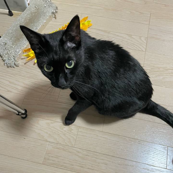 1c700195 ed4b 4c97 80a3 0651b7b2e82b 1718448346572