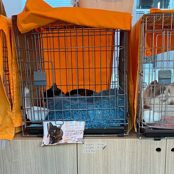 1c701de3 3611 4e8c 8a99 0665b6b23b2d 1730600723141