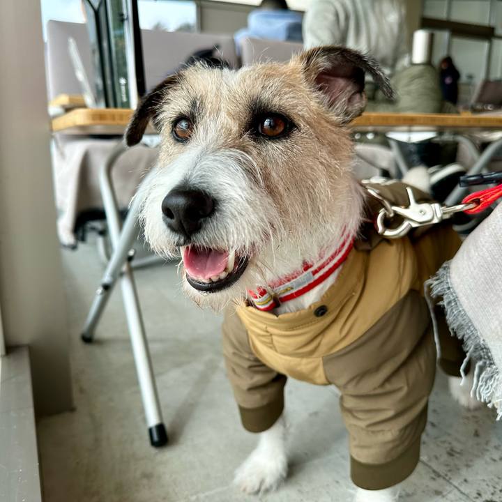 1c705480 ce48 4d9c 94e4 c073b22f45d6 1740135021461