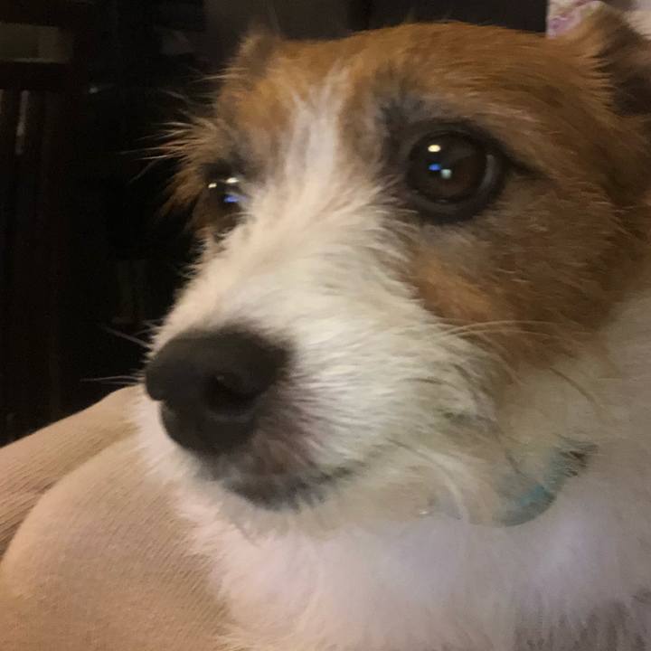 1c706557 f6dd 4112 8aa8 df4d177302df 1572873511839