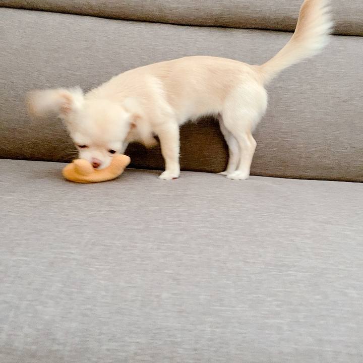 1c708b11 f47c 432e 97b0 63dedccda043 1597008051102