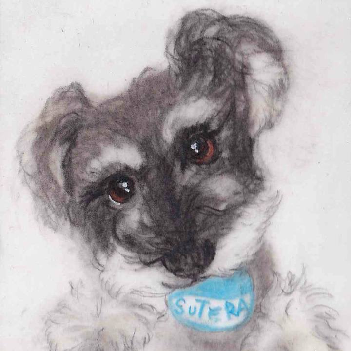 1c70fdf6 6931 4f24 9d49 e9e340988864 1660438807650