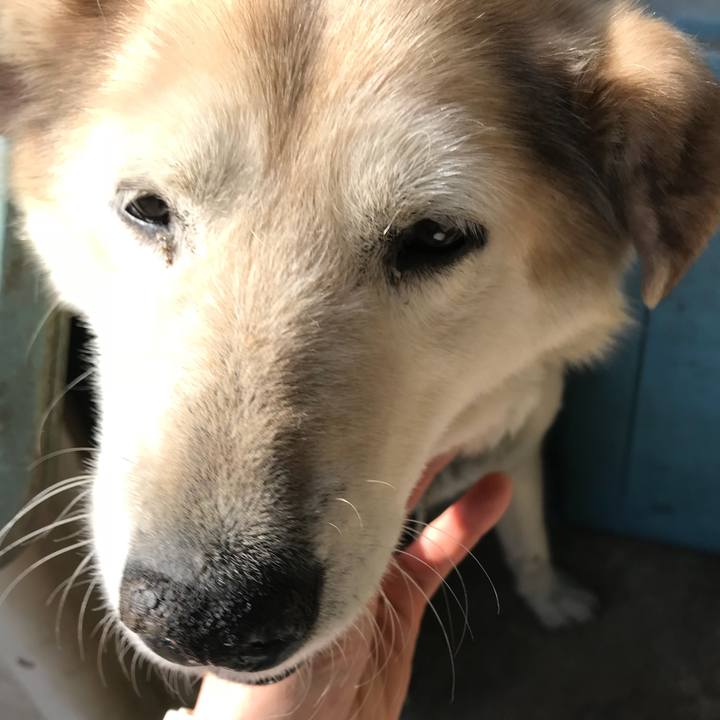 1c7116b4 01e2 4700 b0f6 19e9245fdcf6 1524984090372