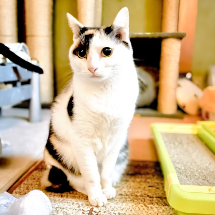 1c713e08 cae3 4c1e a0b6 95feb58f6299 1637114819450