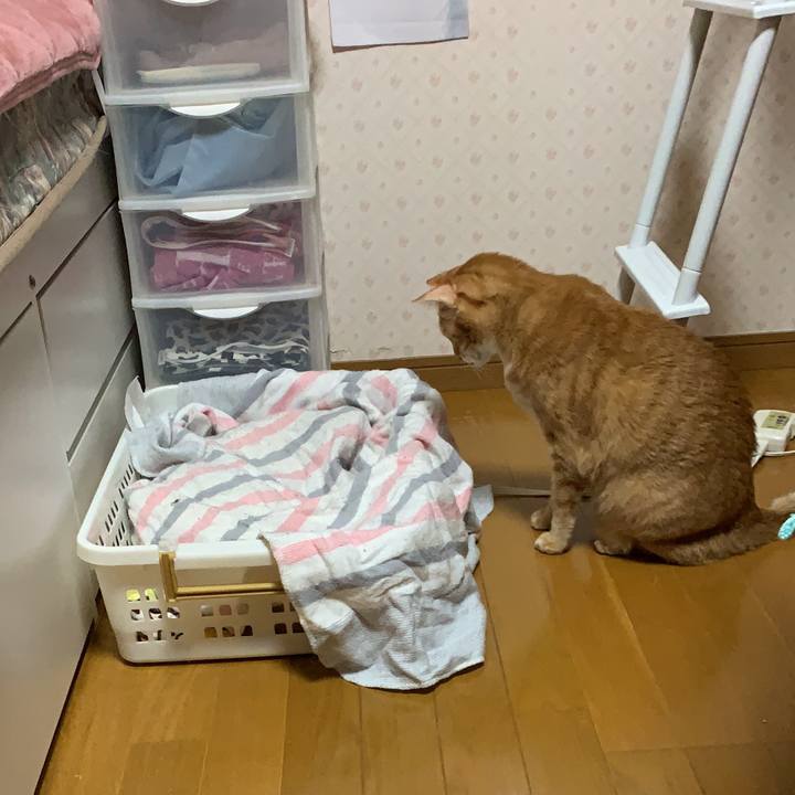 1c718faa 87e8 4587 a846 0609b9946860 1577133227149