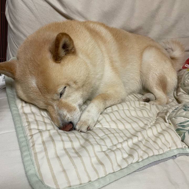 1c71a723 a0f8 4c9a 99e5 52bf9c16cee1 1746965242909