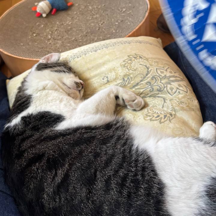 1c71aaec cbe8 43df b26b d48eb41e7afd 1753687578804