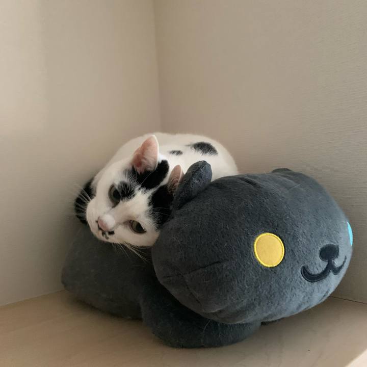 1c71ab6f fa87 495c a173 bef02472b250 1676000953180