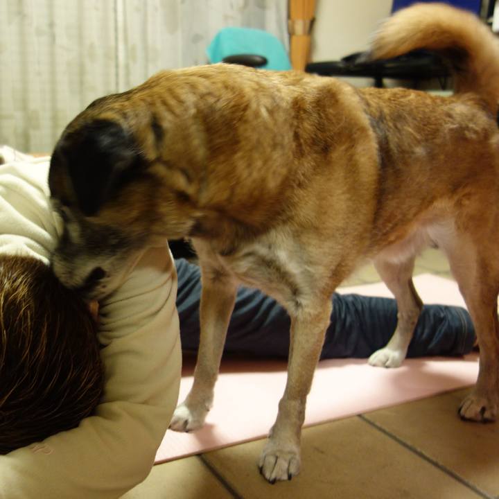 1c71bcc4 0403 4597 88af 1f7d7a684ed8 1657584926703