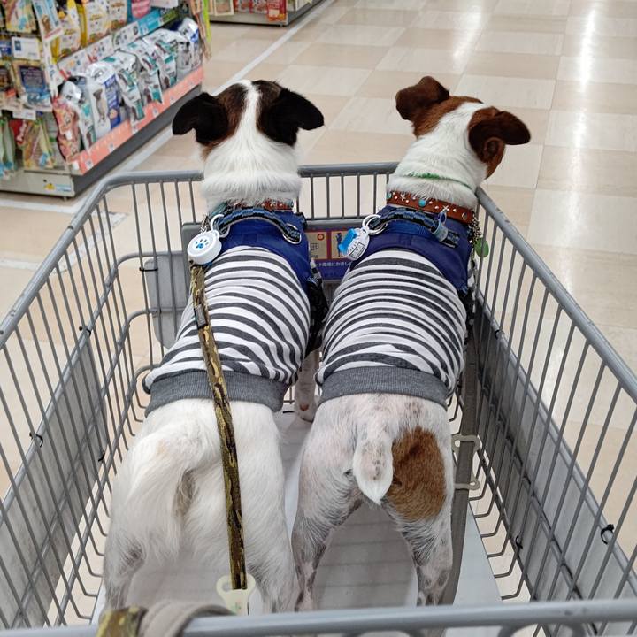 1c71c2a5 5cb2 4812 95c4 1aac34463734 1625283645659