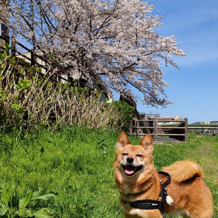 1c71ddb1 4d01 4a05 8a99 154237a2d433 1648879735181