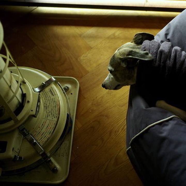 1c71ebf9 0a28 4bb9 849c 69266dcf656a 1512833284333