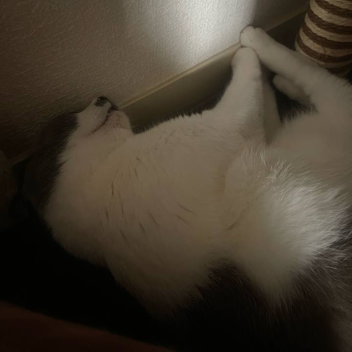 1c71fa92 7cd0 431b adee 4d63aca0f976 1693438989970