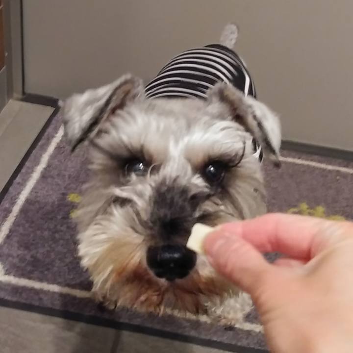 1c720579 8fb5 407d 9e70 f614d28697a2 1610491509562