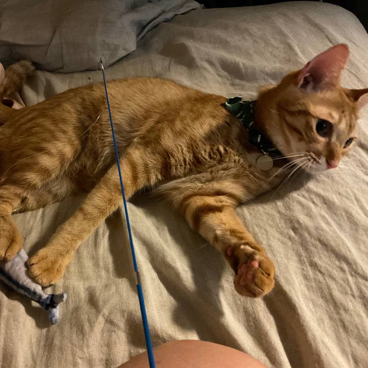 1c7207f9 22cd 4f9e aa03 b555a6be3d6f 1633759403003