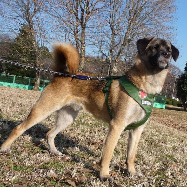 1c724004 2af6 4147 a41e e0ab1b66aea8 1514354087794