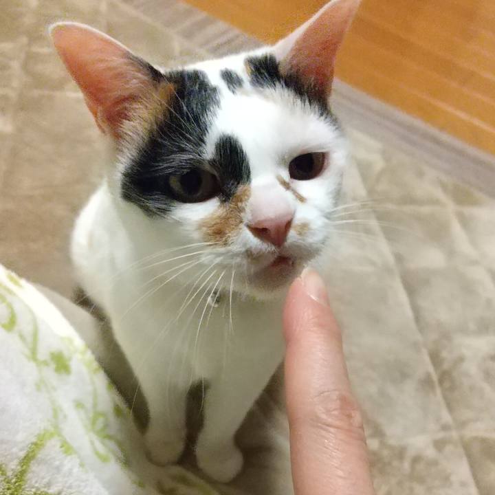 1c725676 fa68 49e2 93f7 0a3d8d088978 1644491942591