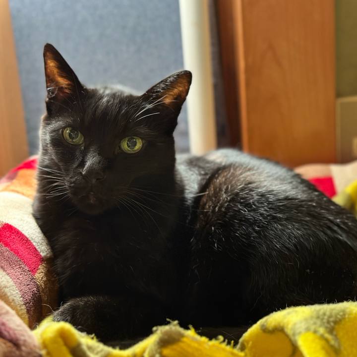 1c72603a 5957 442f ac6c a7a4558b90c0 1664504795251