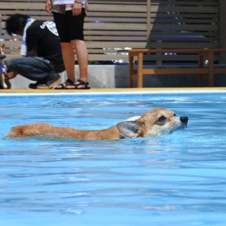 1c7263a7 1fec 44c3 ba8d e583afd8786a 1595496814416