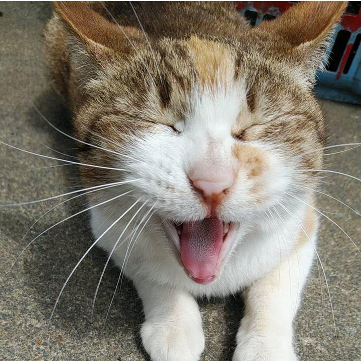 1c728f67 dc91 4fad 8c0a 5dd0f9cf35ca 1761134764172