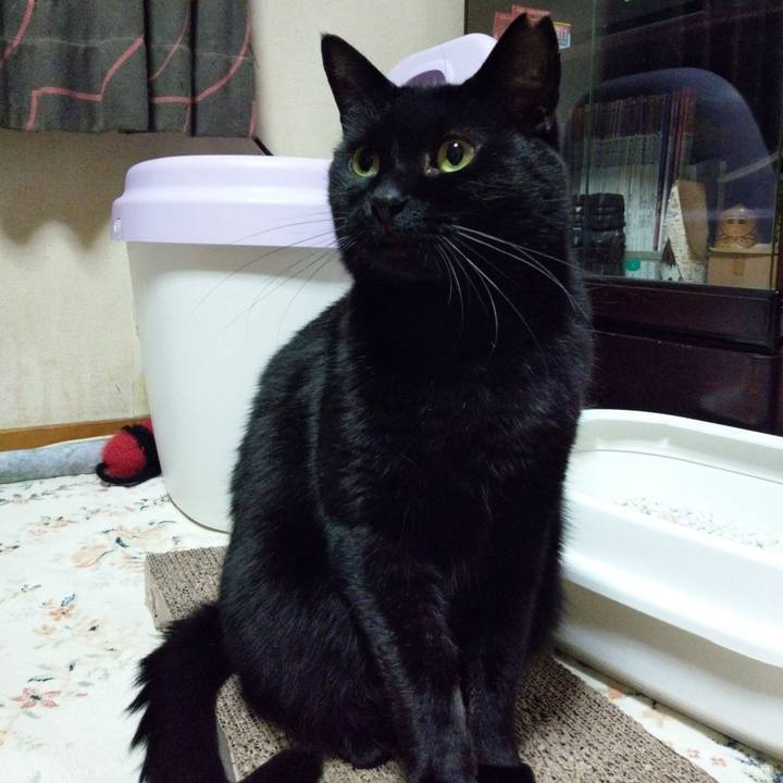 1c729838 5246 4795 bf0a 5d84fdd1435d 1619178836309