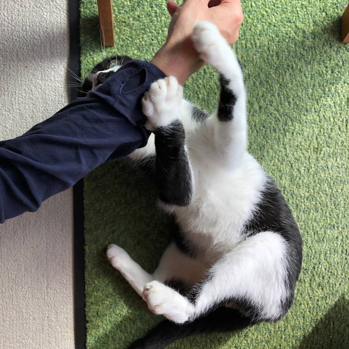 1c72a99d 7831 4a7a a402 c903d3cbc90a 1538733994599