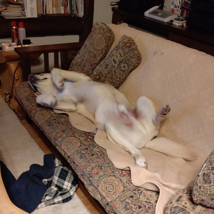 1c72cda6 1391 4e47 a8da 6f896f578a08 1673840352683