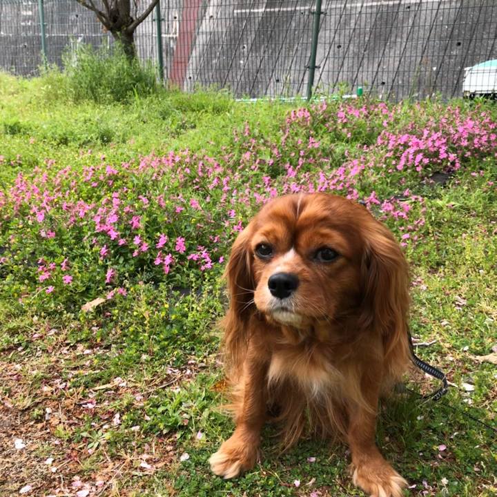 1c72de41 d042 4677 98e6 c9549b84a87e 1587300244324