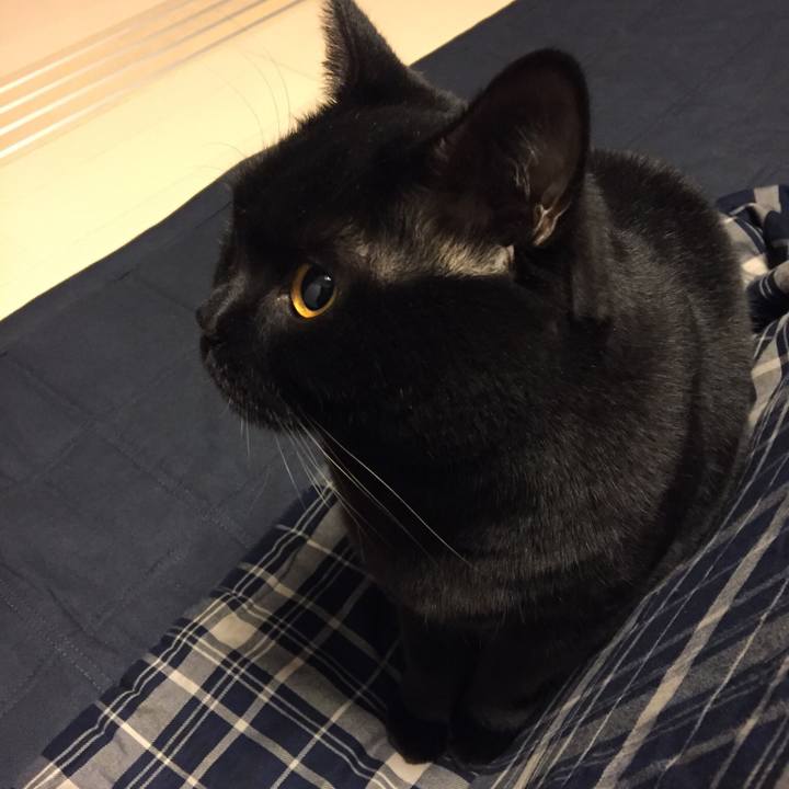 1c737cf8 c9c0 4238 b1a7 437fe2d2f837 1514882421974