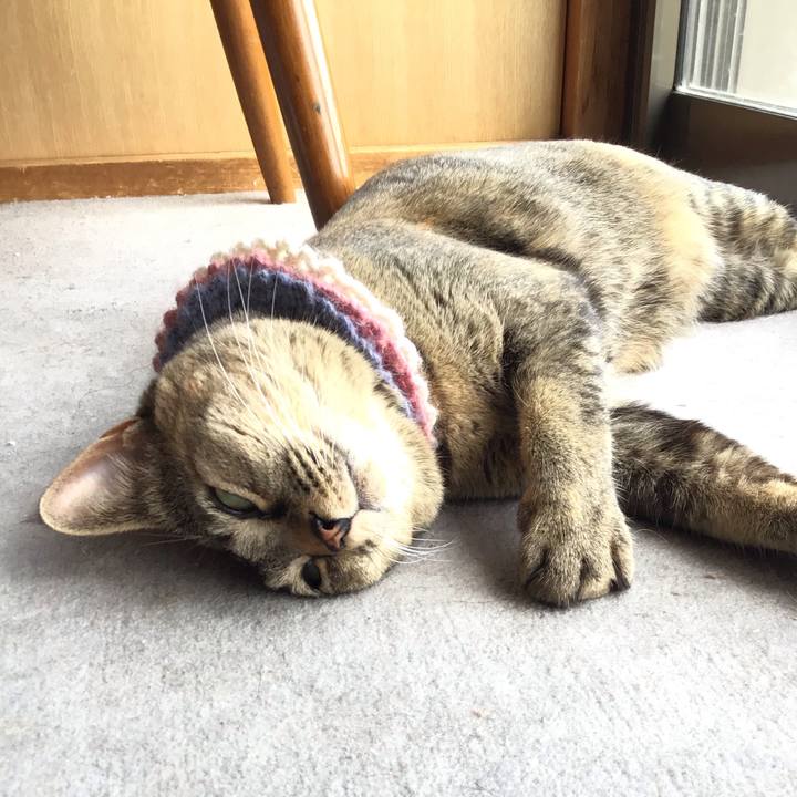 1c7394b6 bb99 4e57 a6d7 098862cff679 1620966278796