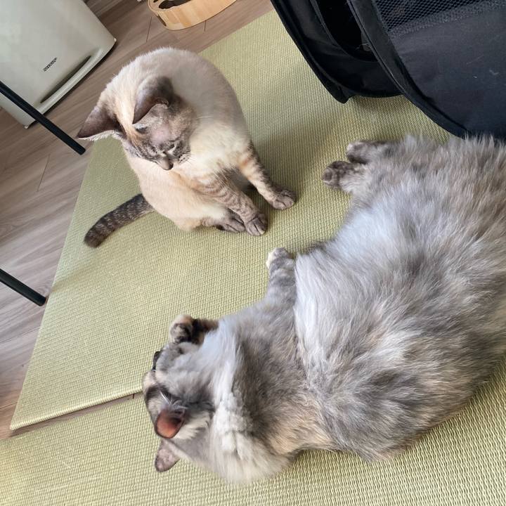 1c73c837 6944 4e9c bbe7 1cc99f5ea226 1741483459856