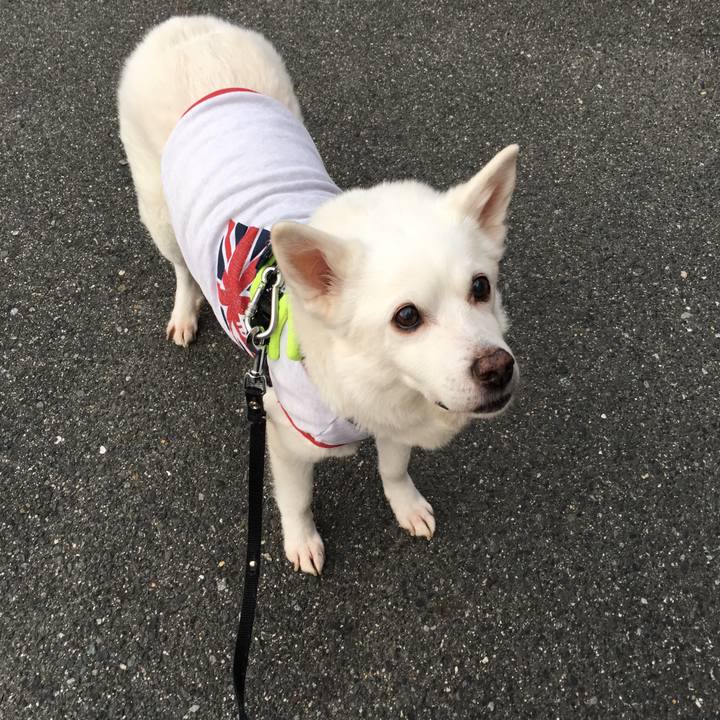 1c7401e8 c27b 468b 84fd d69b83d2aa8a 1523568187231