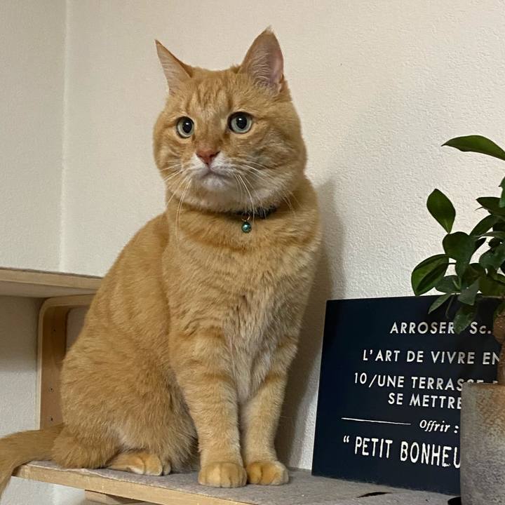 1c742013 8ab8 4d83 a883 a8384d621b65 1674953949183