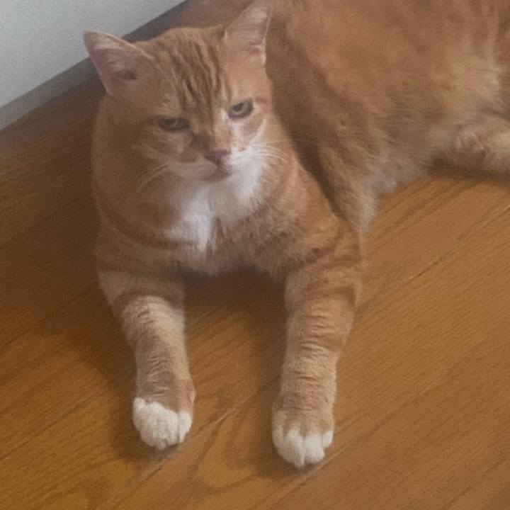 1c7469bd e2d1 4682 bd6d 83c5a12708e6 1755725728829